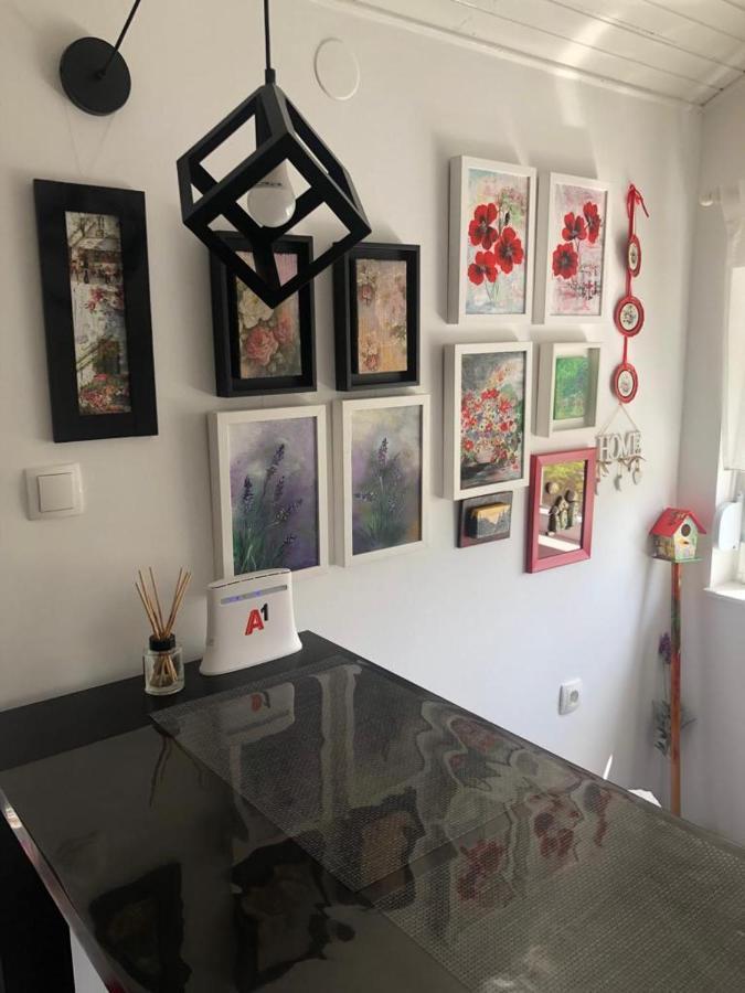 Apartments Marin 罗戈兹尼察 外观 照片